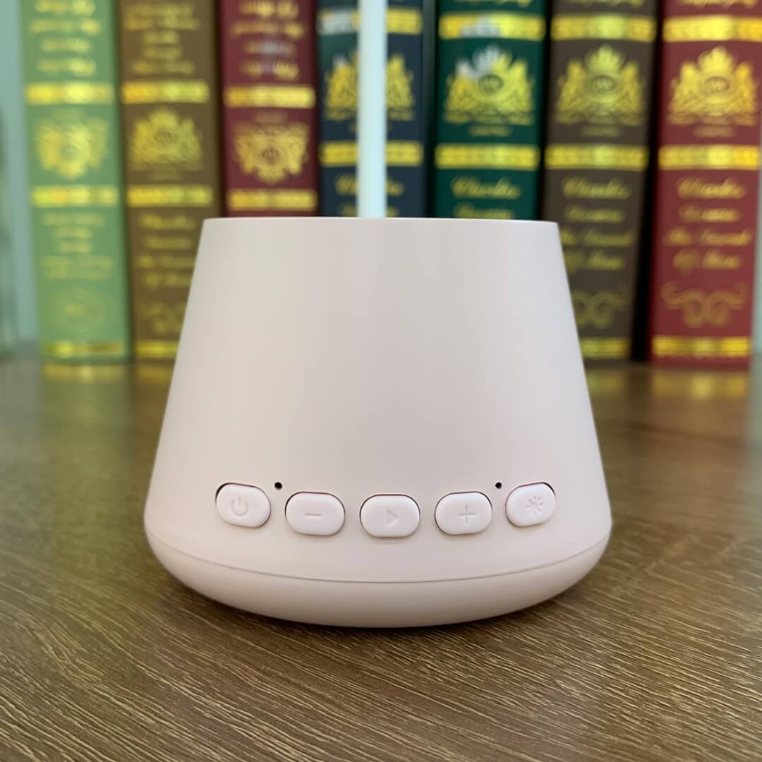 Voice Assistant Bluetooth Speaker with Lamp
